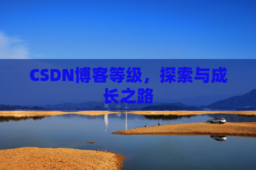 CSDN博客等级，探索与成长之路
